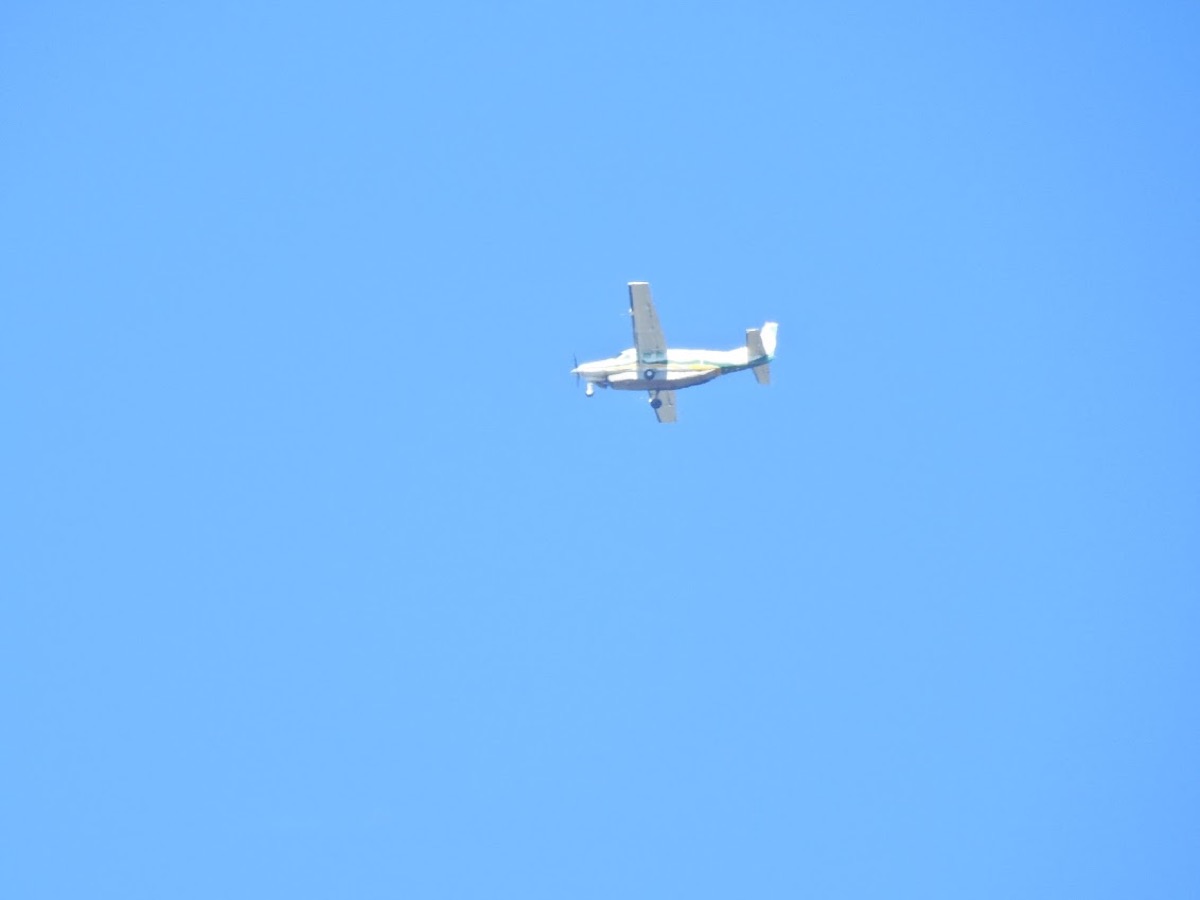 Inställt flyg – vad händer?